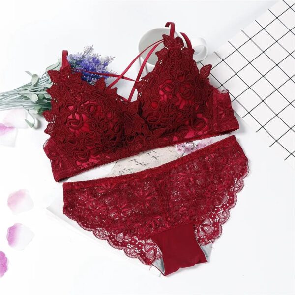 Cute Lace Flower Embroided High Quality Back Closure Adjustable Straps Bra & Panty Set for women