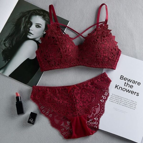 Women's Set Wire Free Push Up Lace Female Underwear Set Transparent Panty Set - Image 3